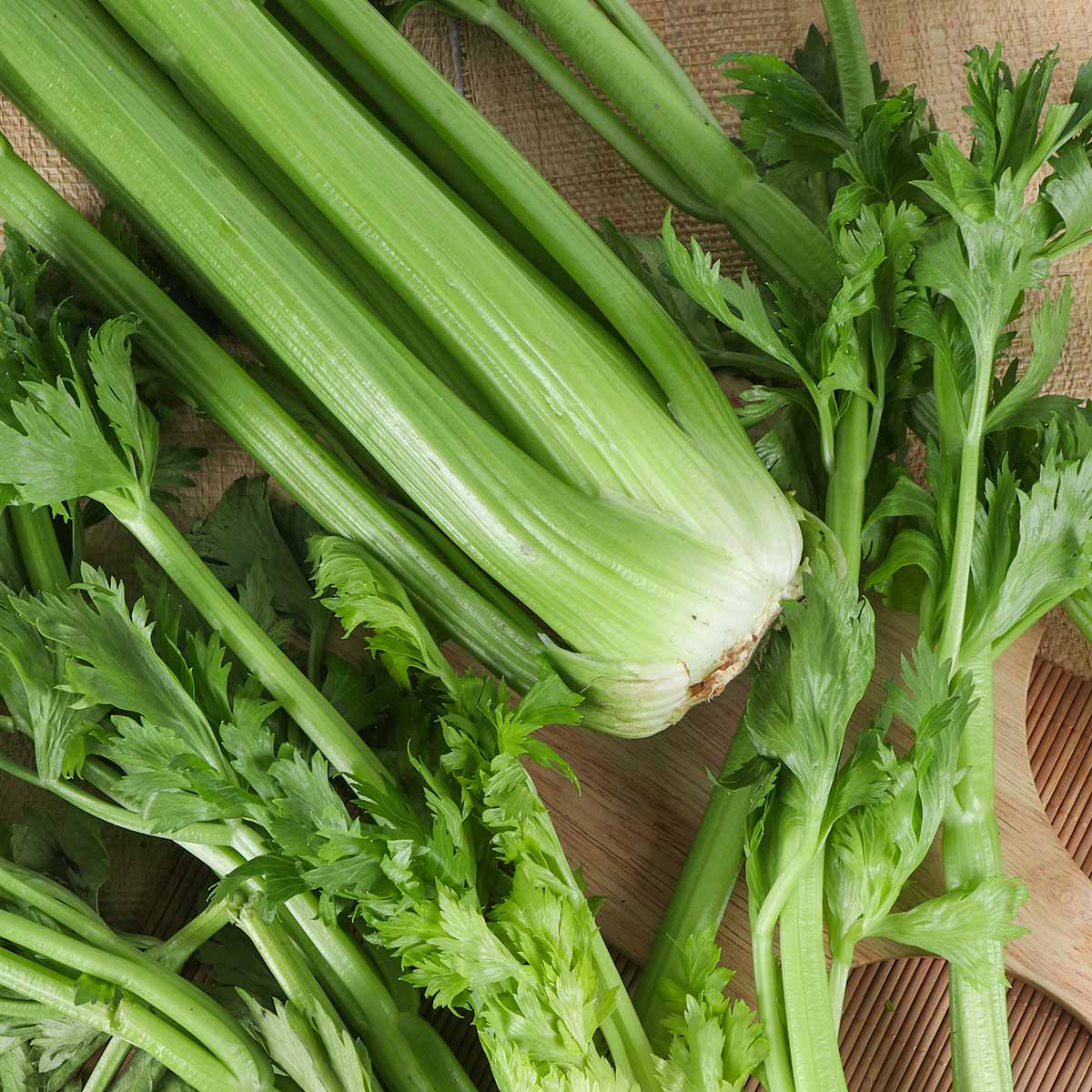 Celery 250g