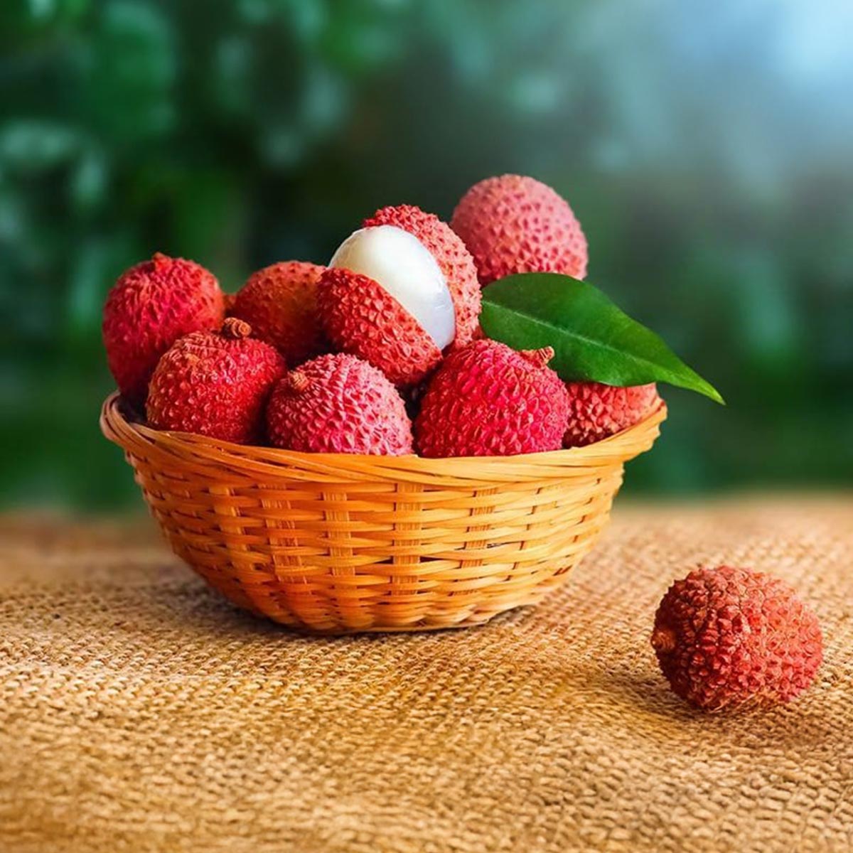 Litchis Small Box