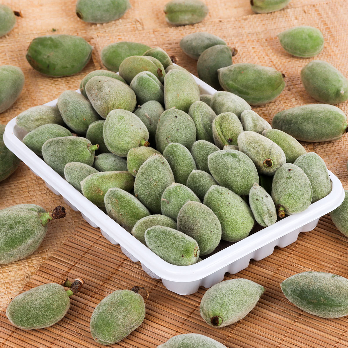 Almond Small Box