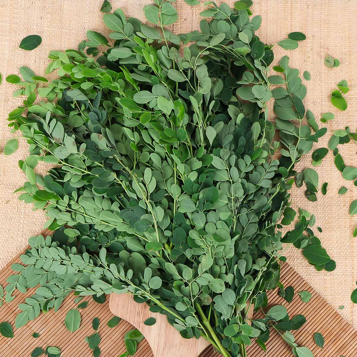 Drumstick Leaves 1 Pack