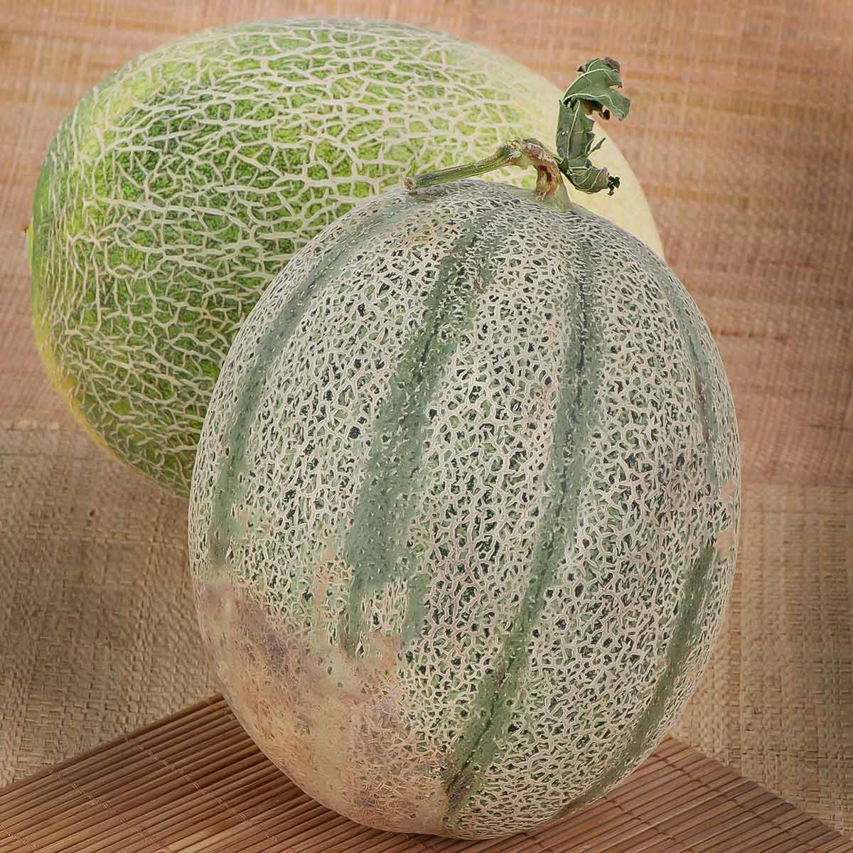 شمام صخري 1 كجم