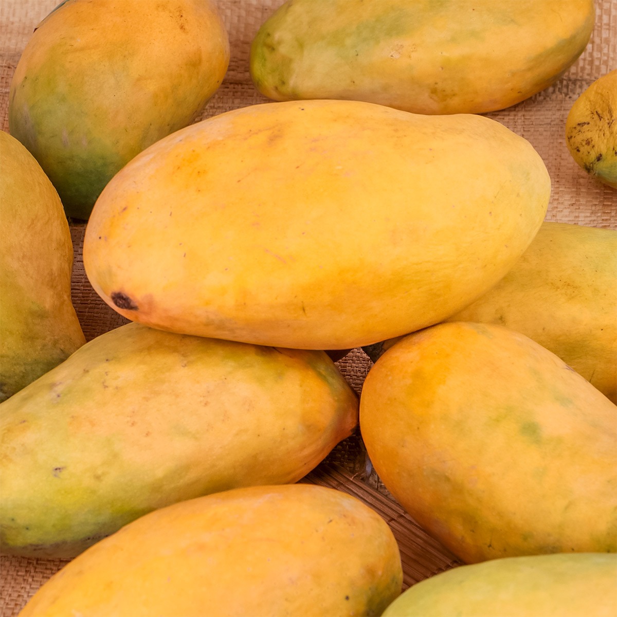 Mango 1Kg