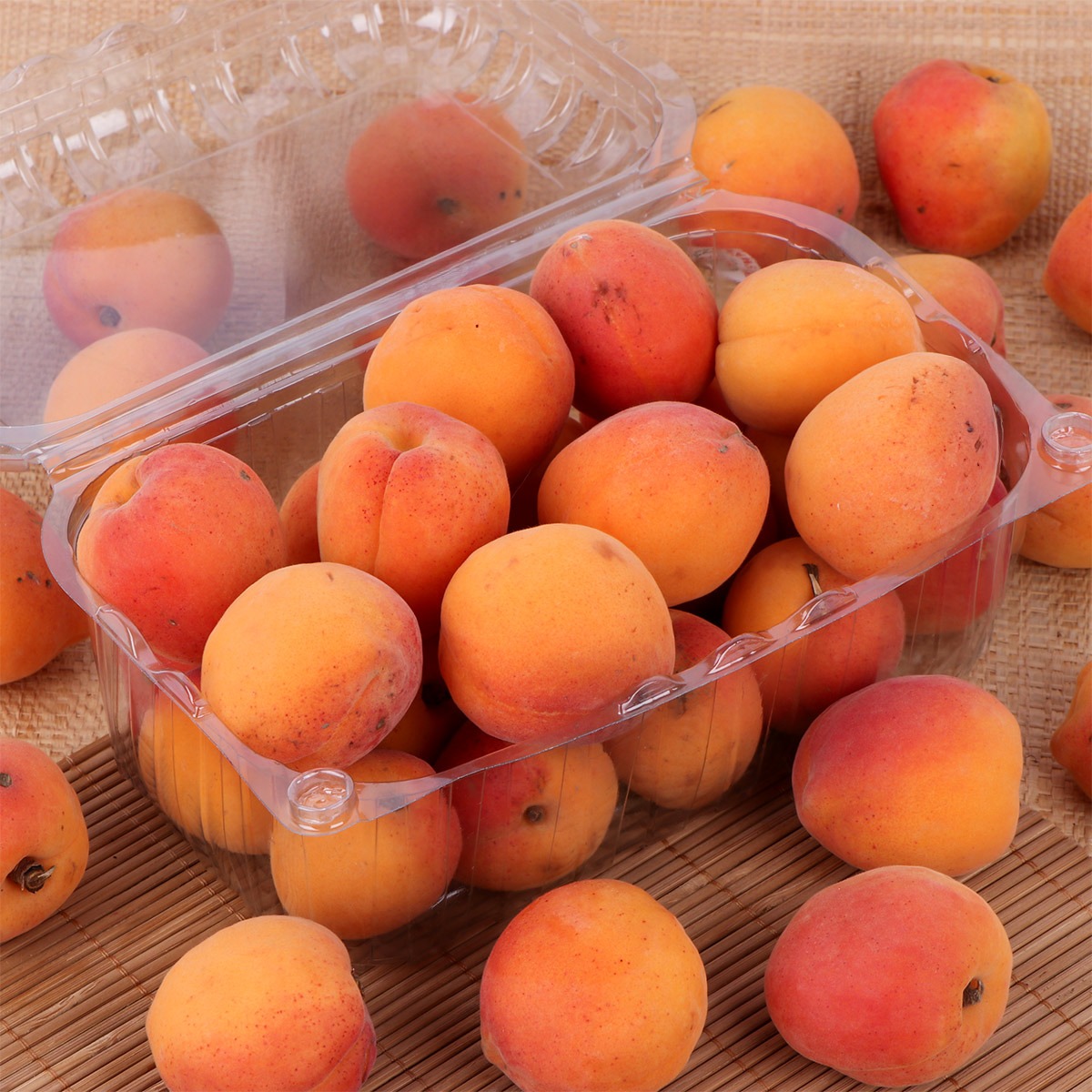 Apricot Box Pack