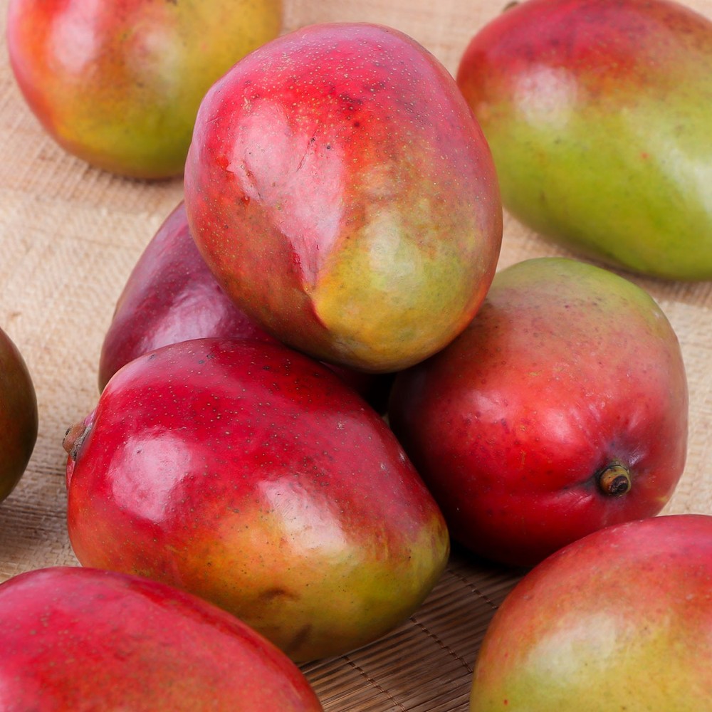 Mango 500g