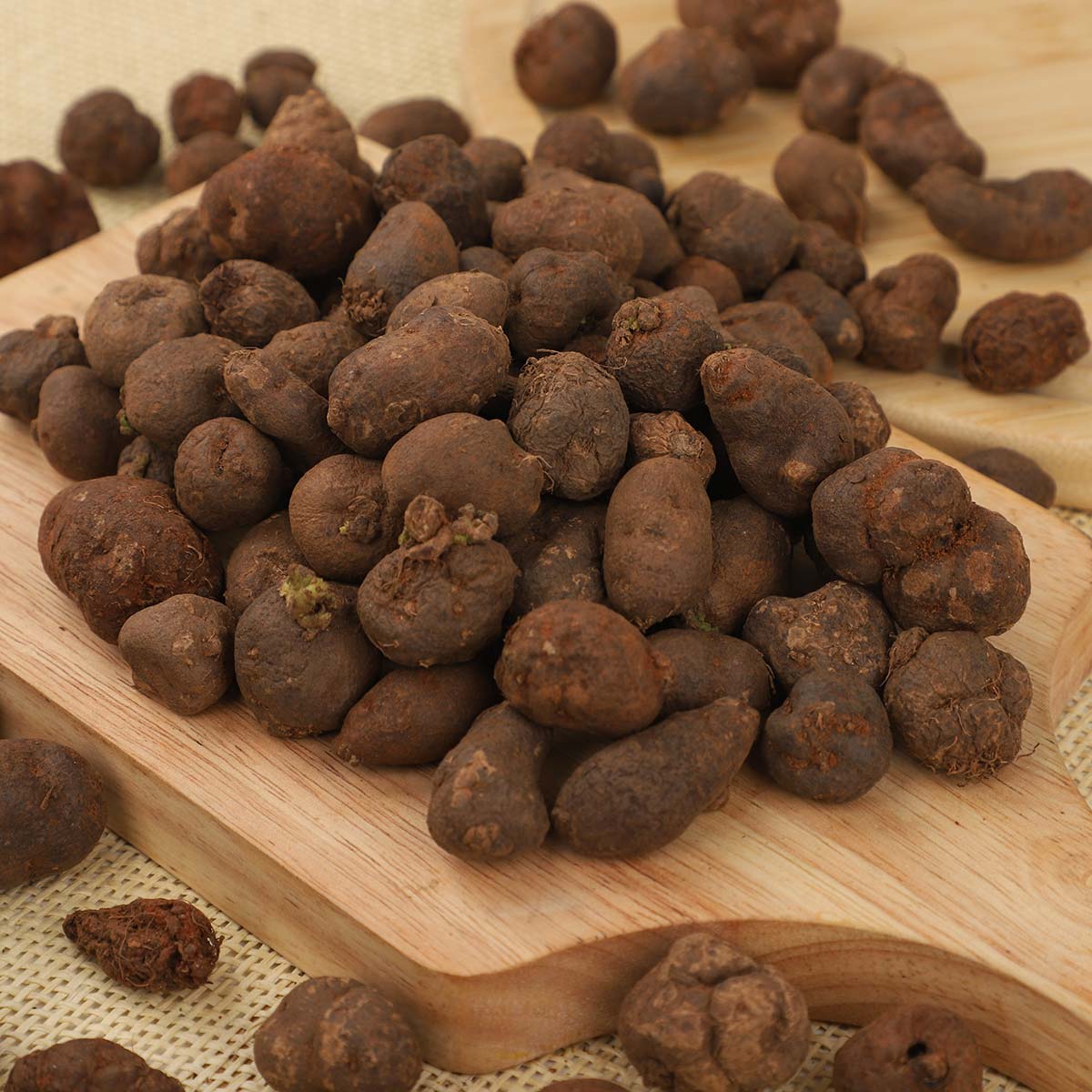 Koorka