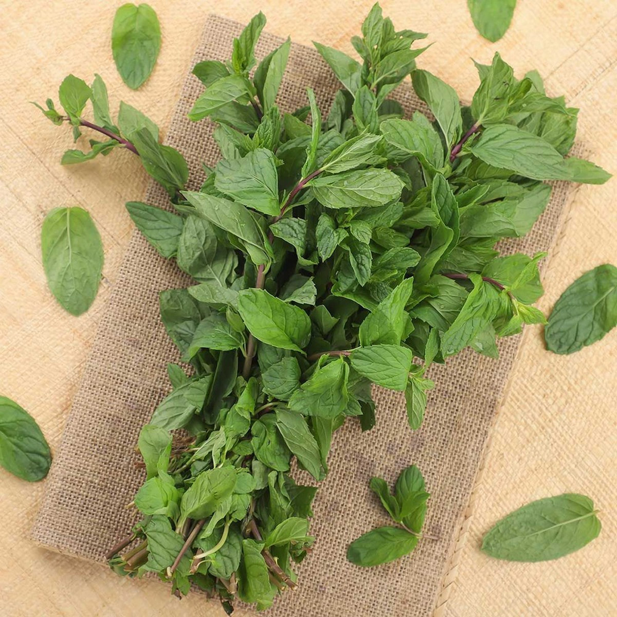 Mint Leaves Pack
