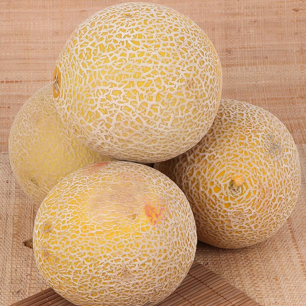 Sweet Melon 1.5kg
