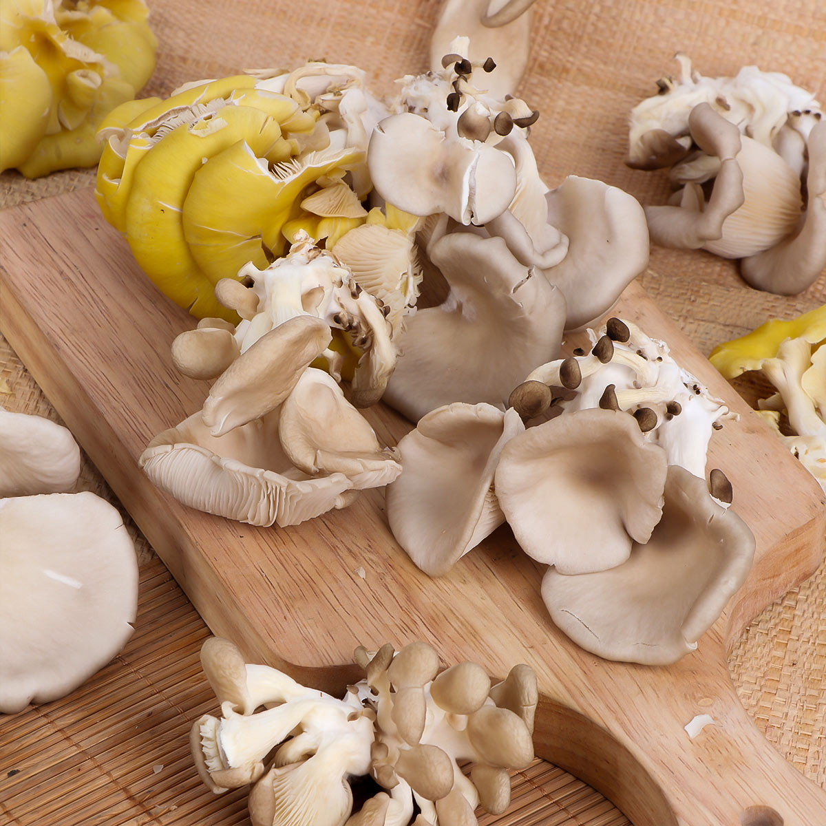 Mushroom Pack