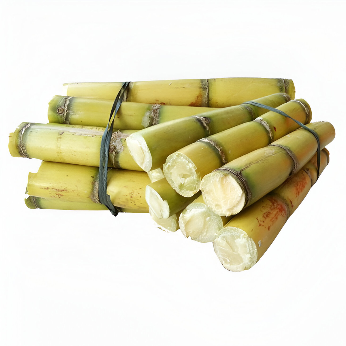 Sugar Cane