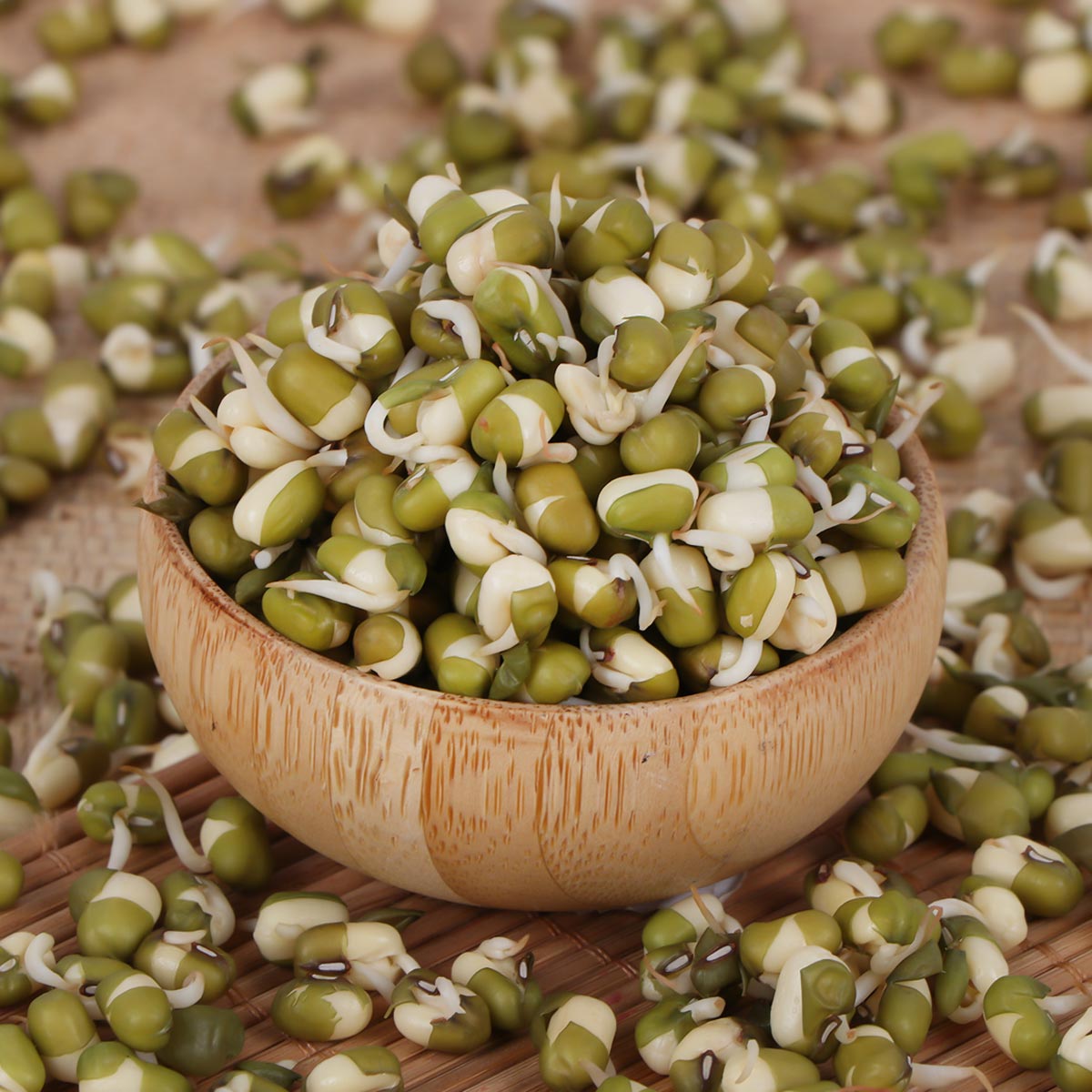 الحمص الأخضر المنبت