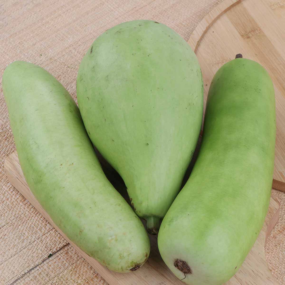 Pumpkin Green 1Kg