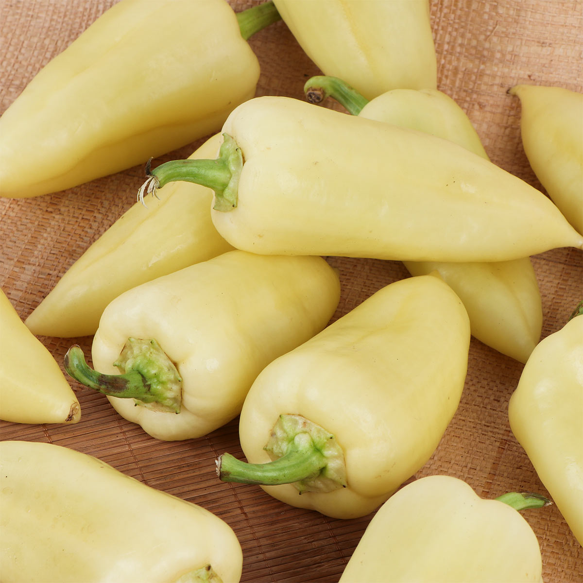 Chilli White 500g