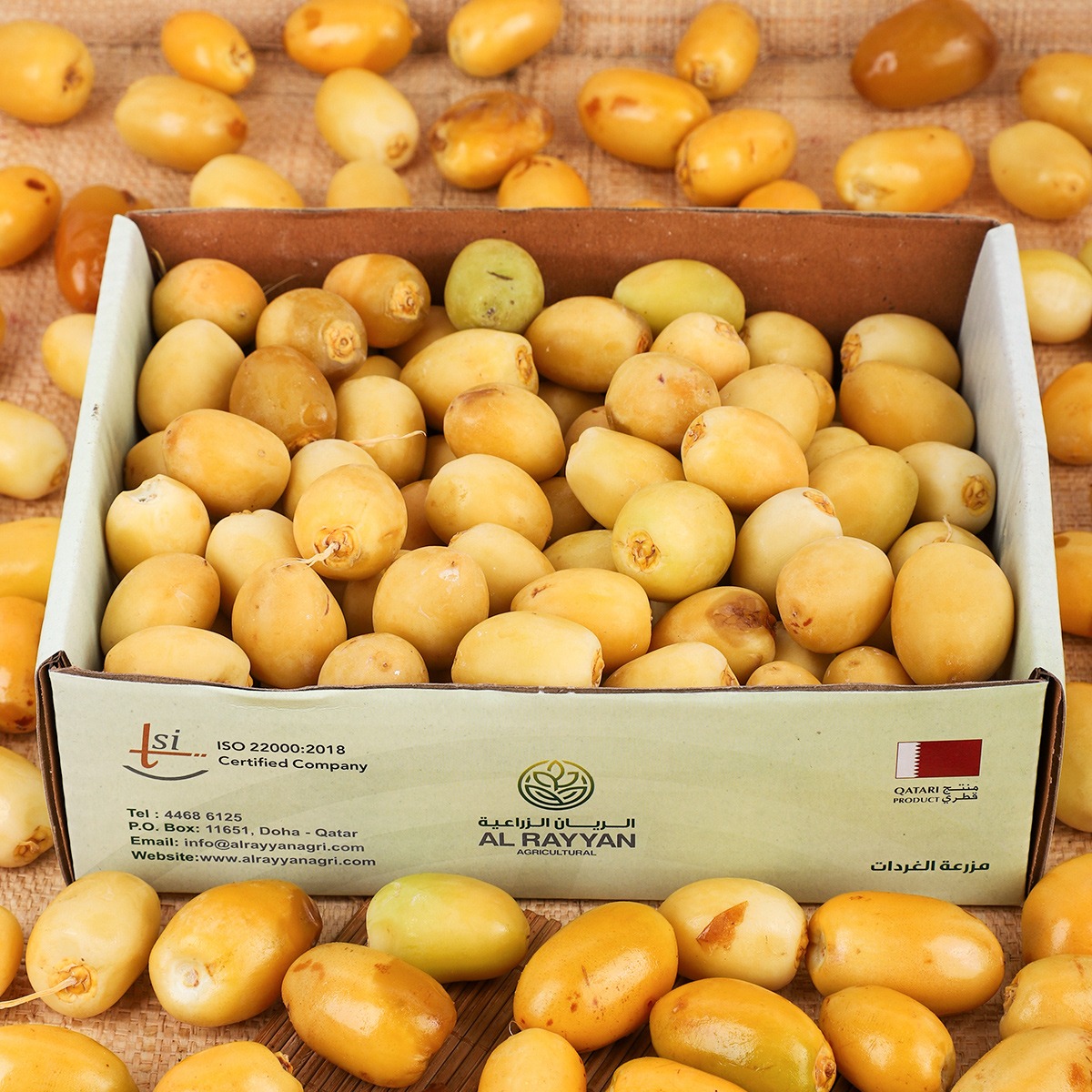 Dates Barhi Pack