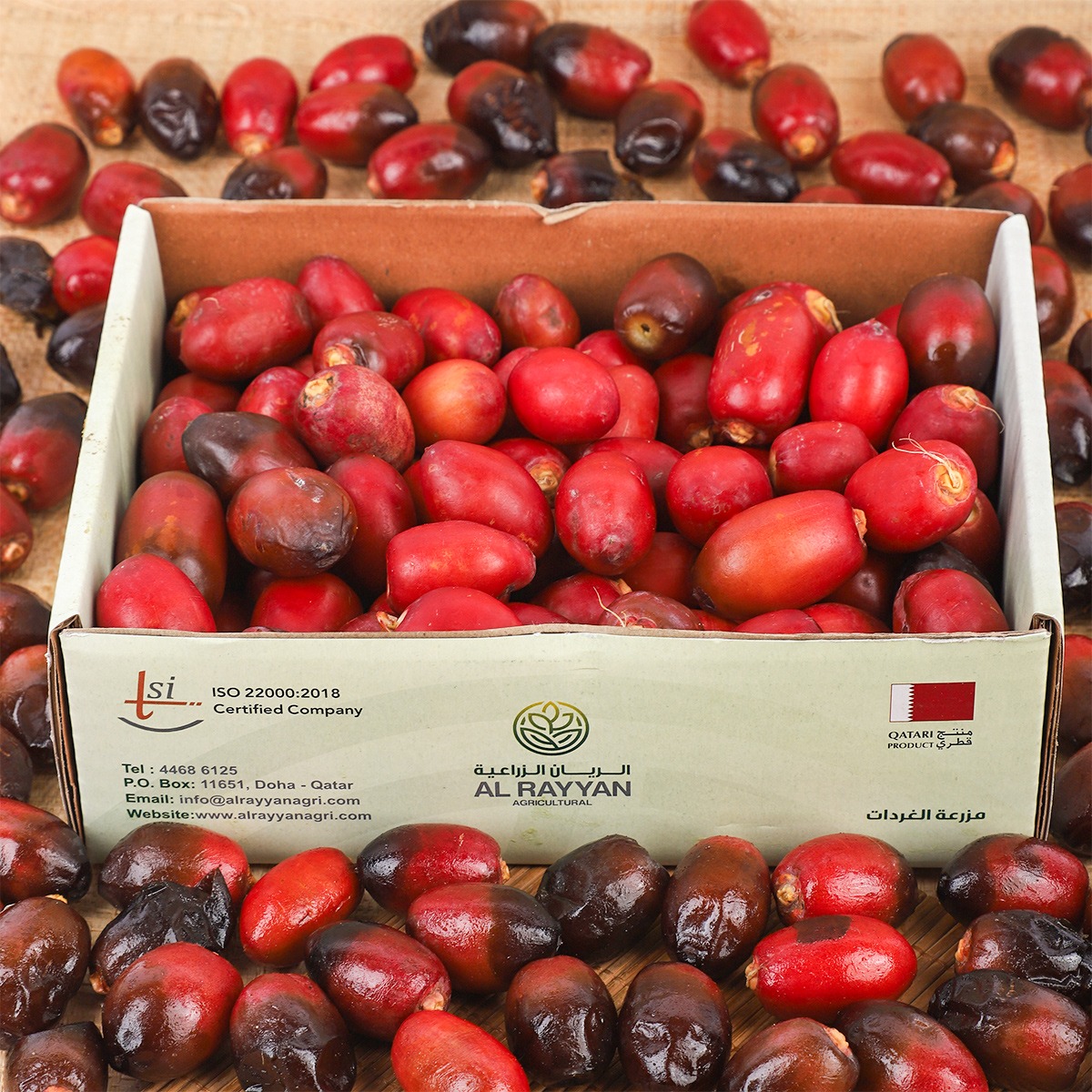 Dates Khainezi