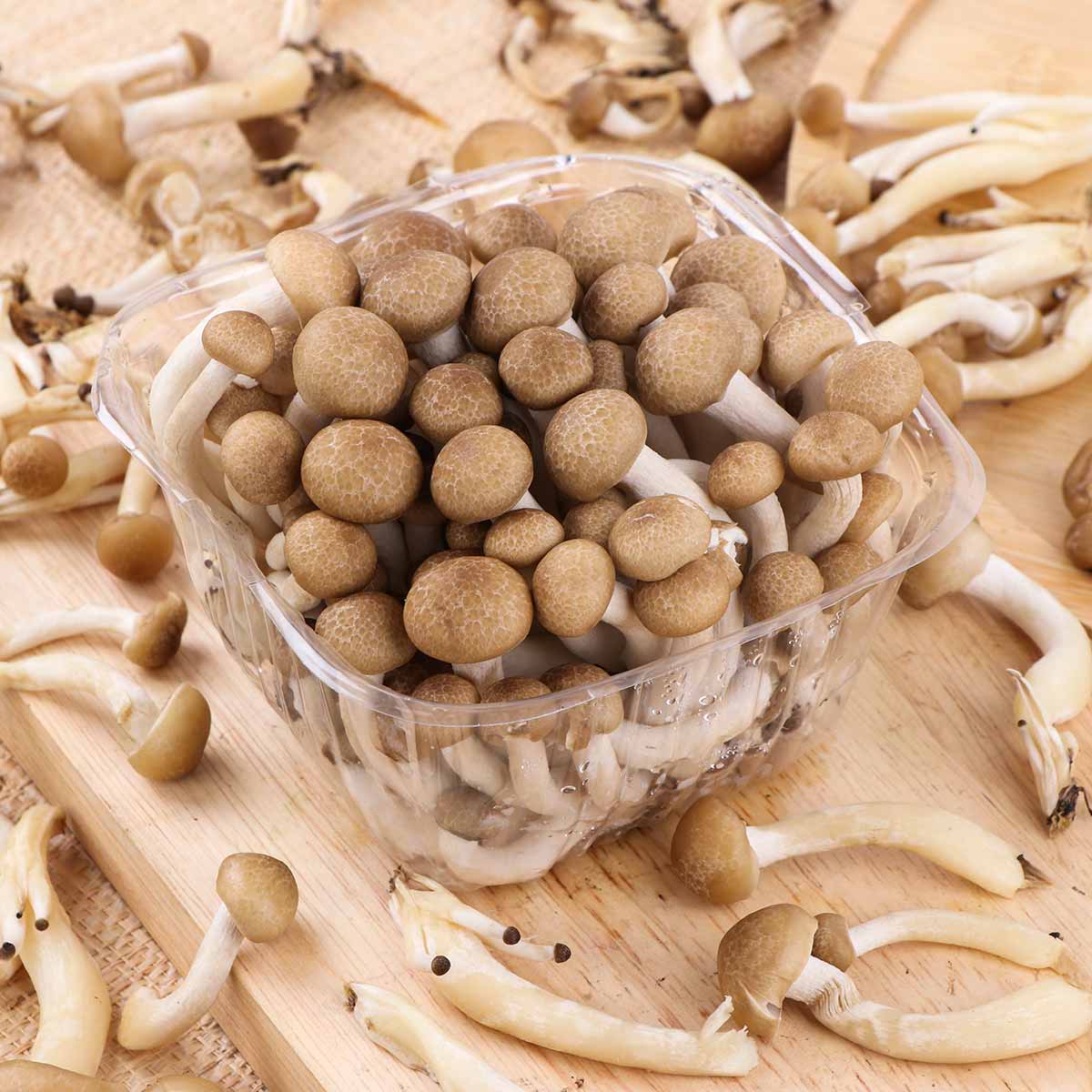 عبوة فطر شيميجي