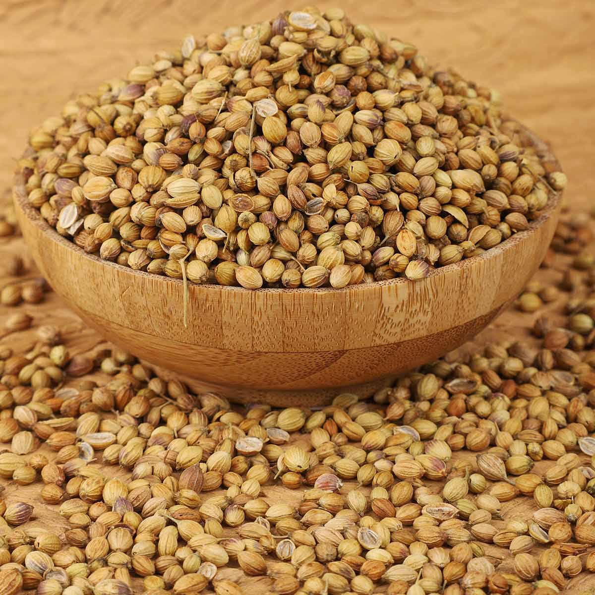 بذور الكزبرة - بهارات هندية 500 غرام