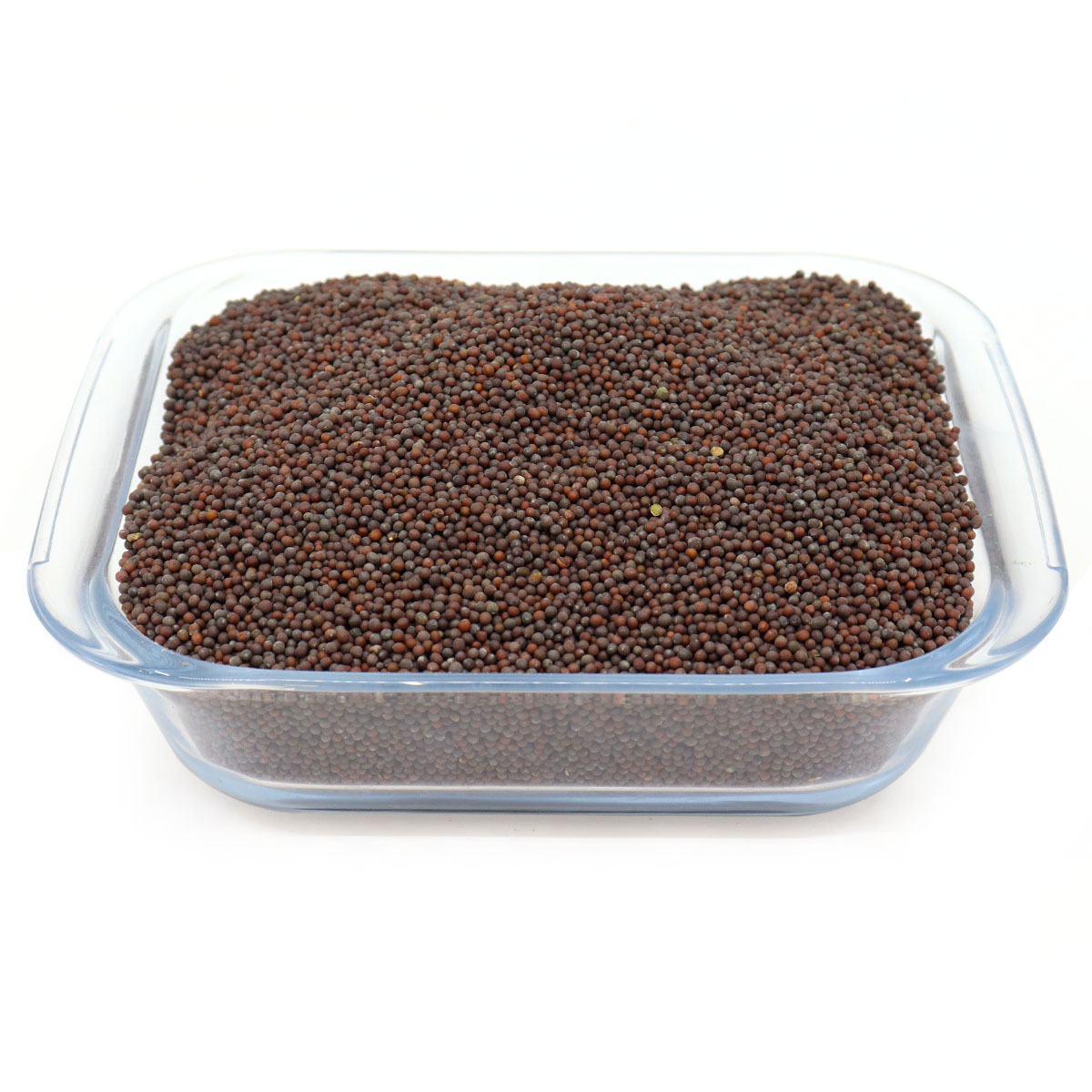 Mustard Seed 100g