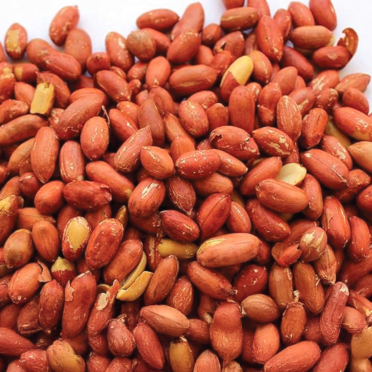 Egyptian Peanuts 500g