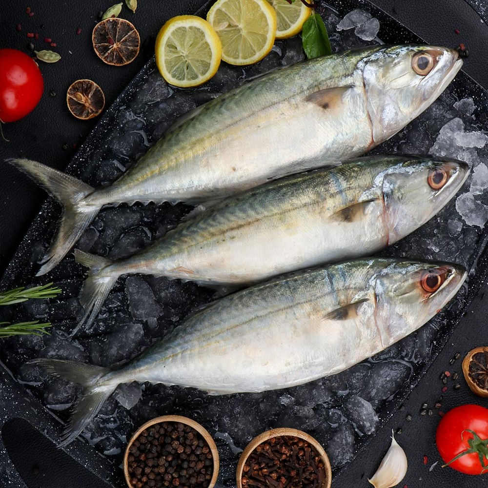 Mackerel Fish Big 1kg (Without Clean)