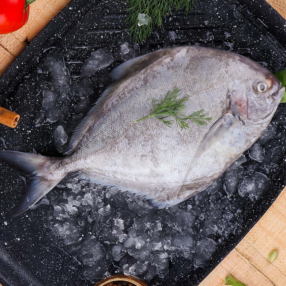 Black Pompret 1Kg ( Without Clean )