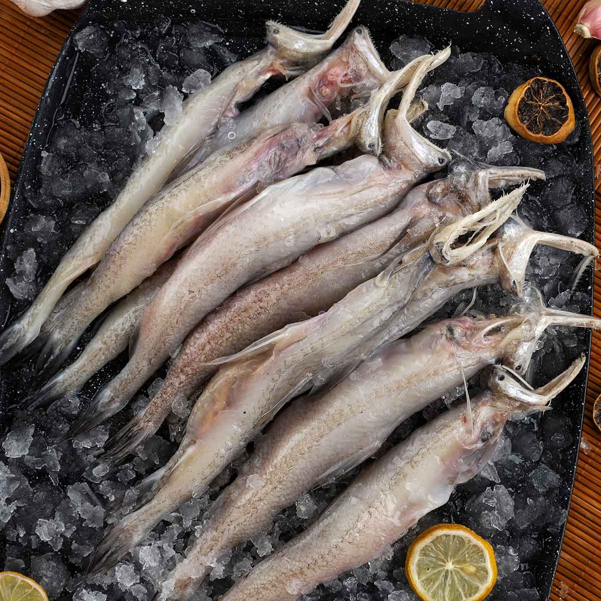 Bombay Duck Fish 1kg