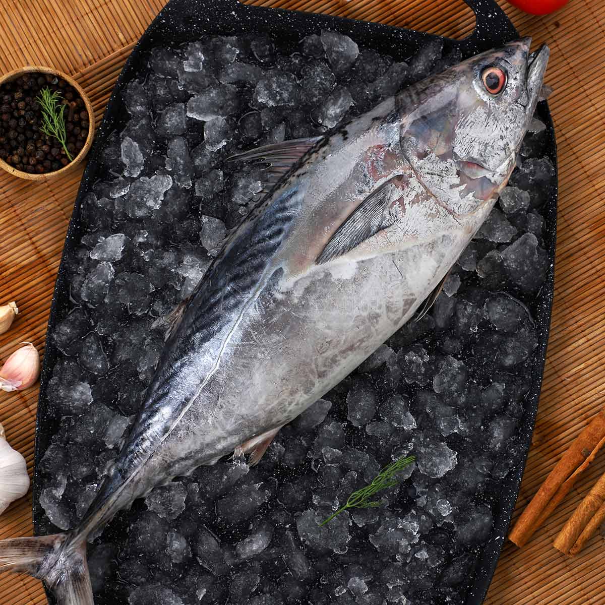 Tuna Fish Small 500g