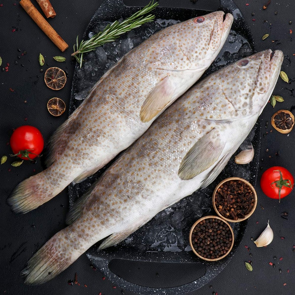 Hamour Fish Medium 1kg