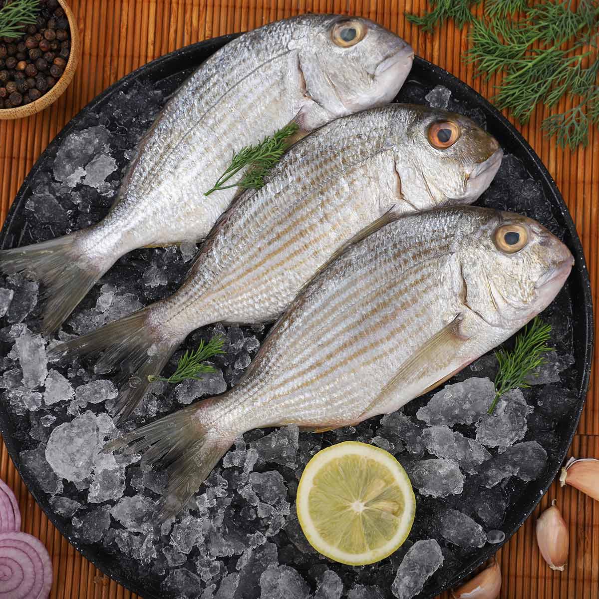 Karkifan Fish 500g