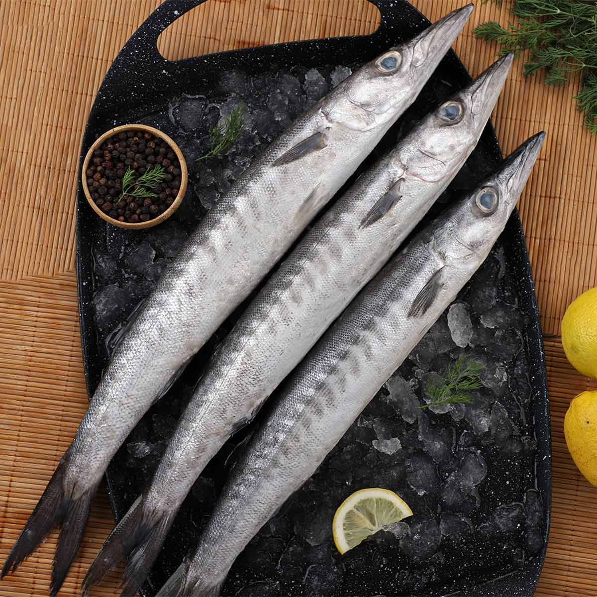 سمك باراكودا صغير 500 جرام | الأسماك والمأكولات البحرية | سمك سمك باراكودا صغير 500 جرام | الأسماك والمأكولات البحرية | سمك
