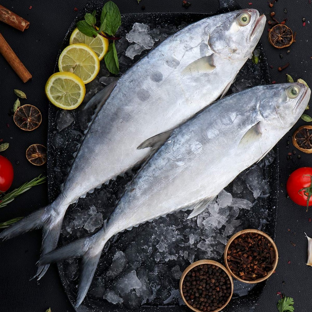 Laslas Fish Small 500g