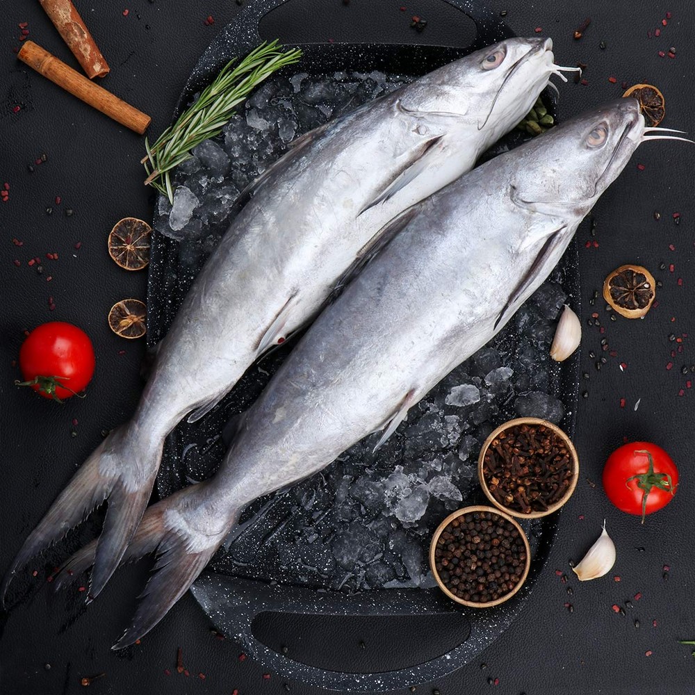 Cat Fish 500g