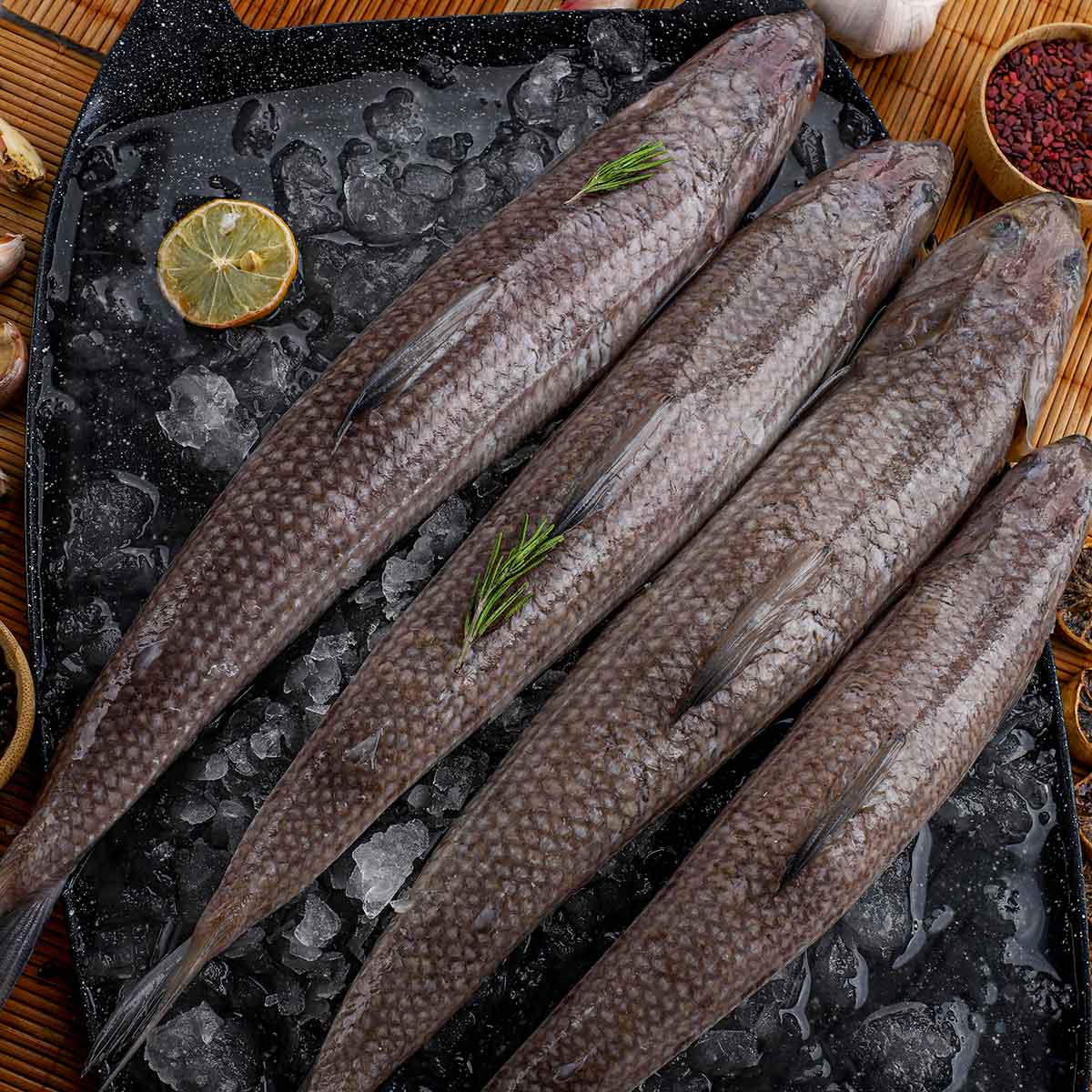 Macroni Fish 500g