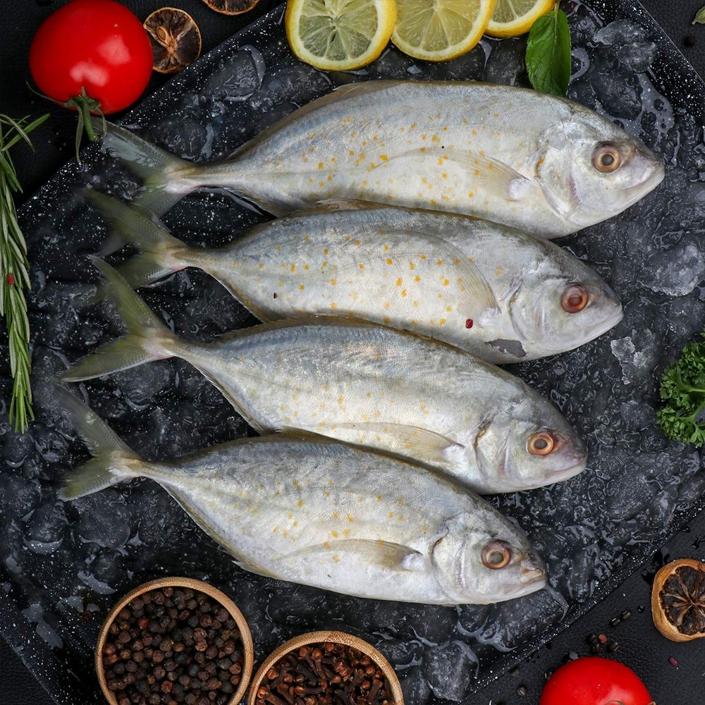 Jashah Fish Big 1kg