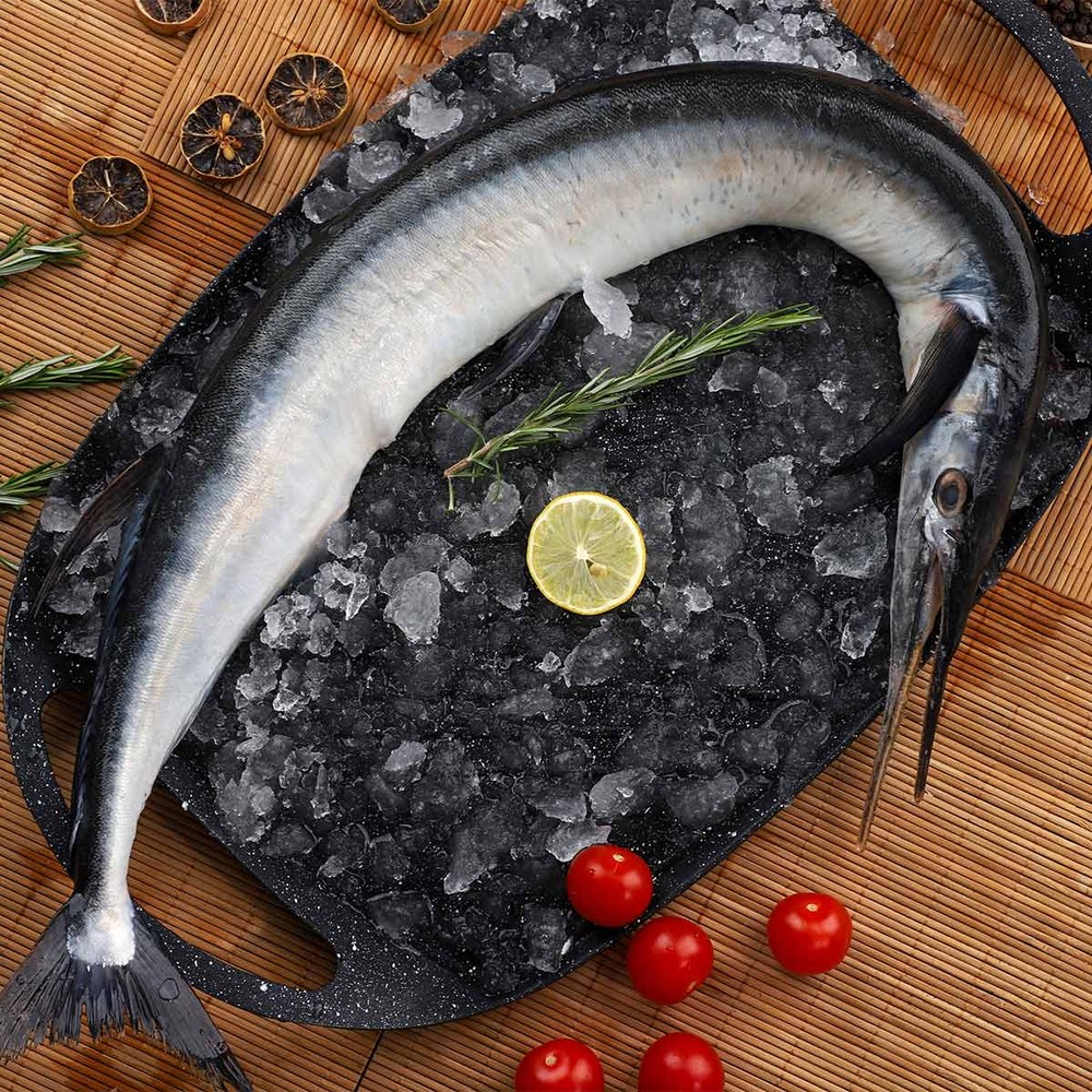 Needle Fish 500g