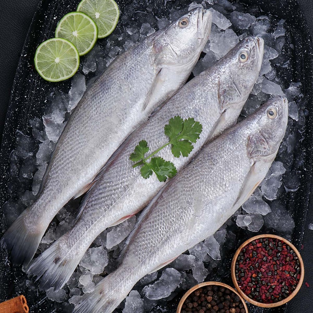 Silver Grunter 1kg