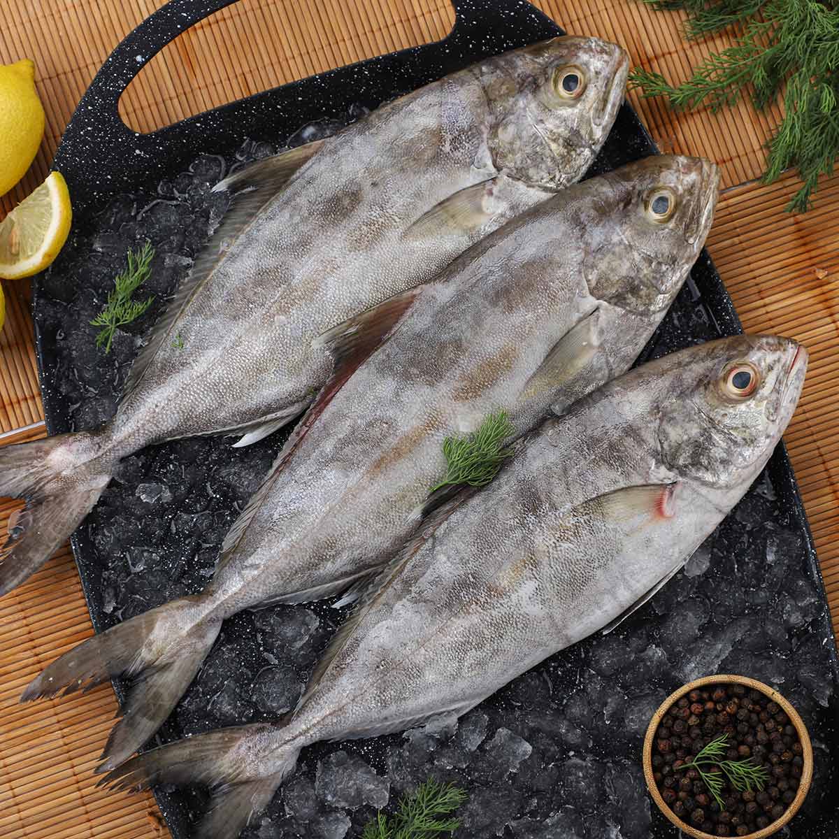 Hamam Fish 500g