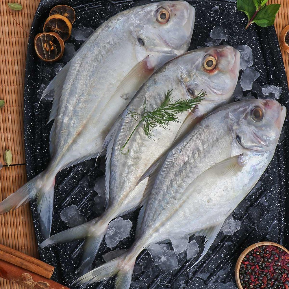 Zubaidi Medium 1kg