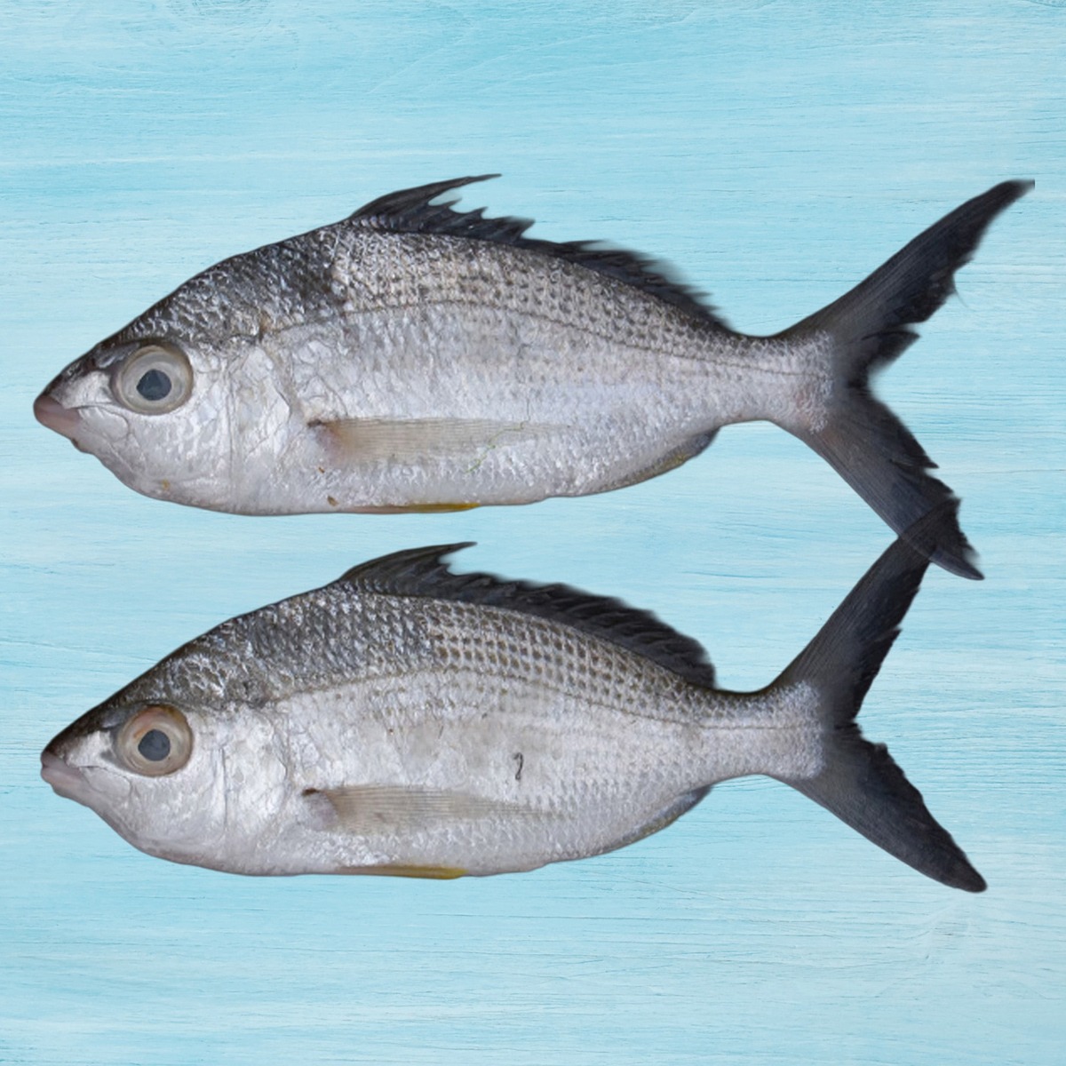 Badah Fish 500g