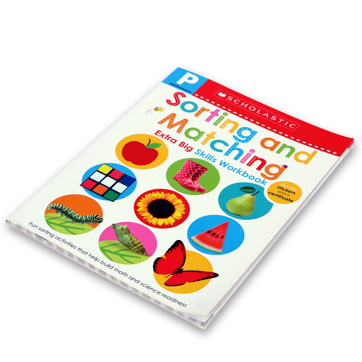 Scholastic Sorting & Matching Skills Workbook