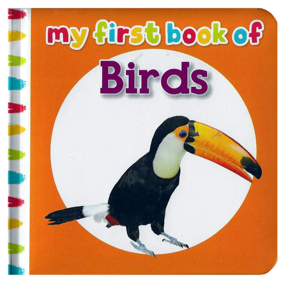 My First Book Of Birds